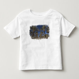 Tunisia, Sahara Desert, Douz, Zone Touristique, 2 Toddler T-Shirt