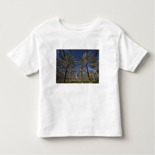 Tunisia, Sahara Desert, Douz, Zone Touristique, 2 Toddler T-Shirt