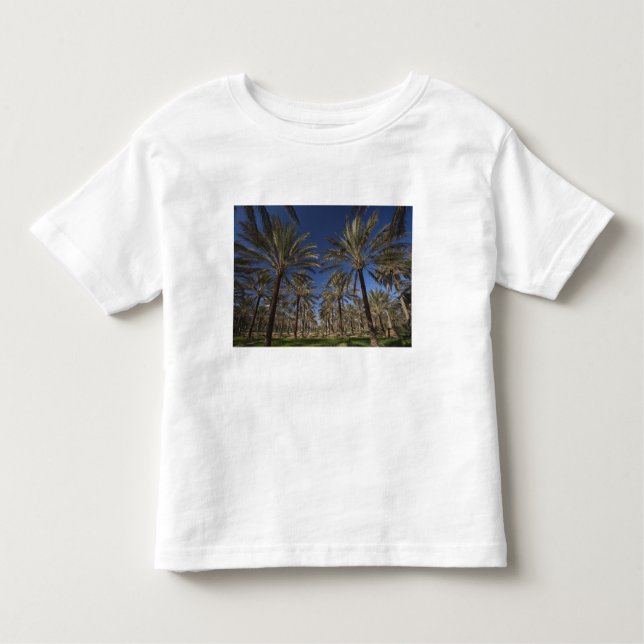Tunisia, Sahara Desert, Douz, Zone Touristique, 2 Toddler T-Shirt (Front)