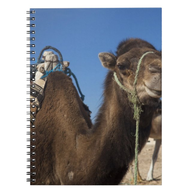 Tunisia, Sahara Desert, Douz, Zone Touristique, Notebook (Front)