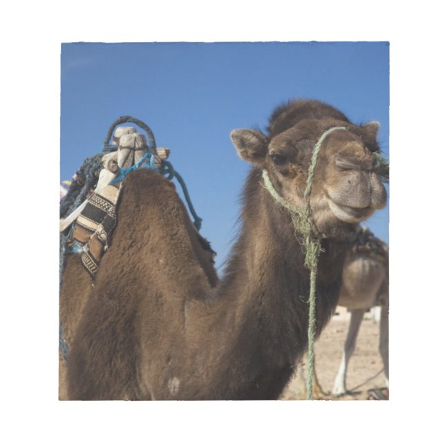 Tunisia, Sahara Desert, Douz, Zone Touristique, Notepad (Front)