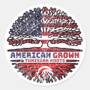 Tunisia Tunisian US American USA United States Classic Round Sticker