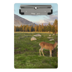 Tuolumne Meadow, Yosemite Mini Clipboard