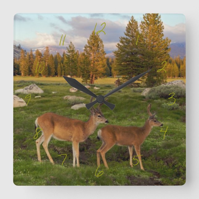 Tuolumne Meadow, Yosemite Square Wall Clock (Front)
