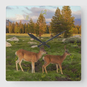 Tuolumne Meadow, Yosemite Square Wall Clock