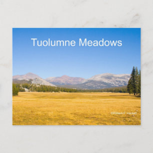 Tuolumne Meadows Yosemite California Products Postcard