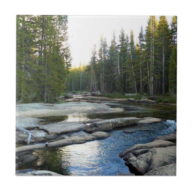 Tuolumne River by Campground, Yosemite, CA Ceramic Tile (Front)