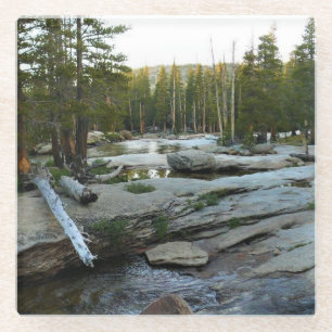 Tuolumne River by Campground, Yosemite, CA Glass Coaster