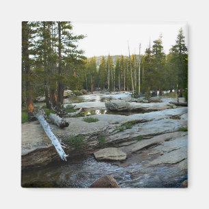 Tuolumne River by Campground, Yosemite, CA Magnet
