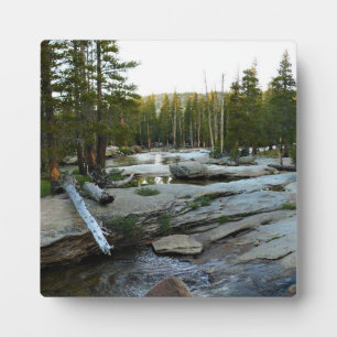 Tuolumne River by Campground, Yosemite, CA Plaque