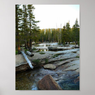 Tuolumne River by Campground, Yosemite, CA Poster