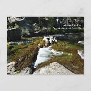 Tuolumne River in Tuolumne Meadows, Yosemite, CA P Postcard