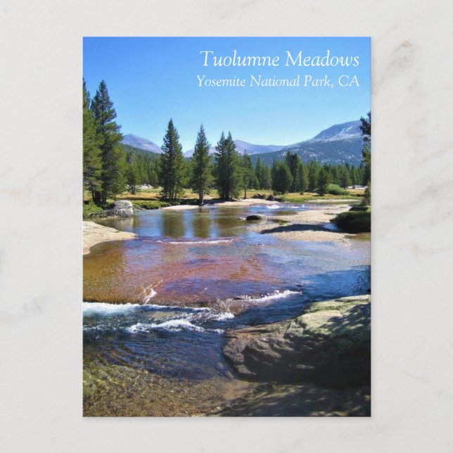 Tuolumne River in Tuolumne Meadows, Yosemite, CA P Postcard (Front)