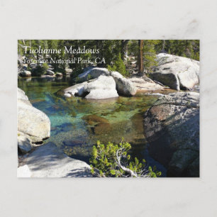 Tuolumne River in Tuolumne Meadows, Yosemite, CA P Postcard