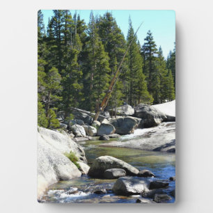 Tuolumne River in Tuolumne Meadows, Yosemite, CA Plaque