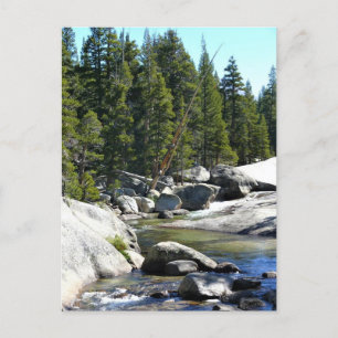 Tuolumne River in Tuolumne Meadows, Yosemite, CA Postcard