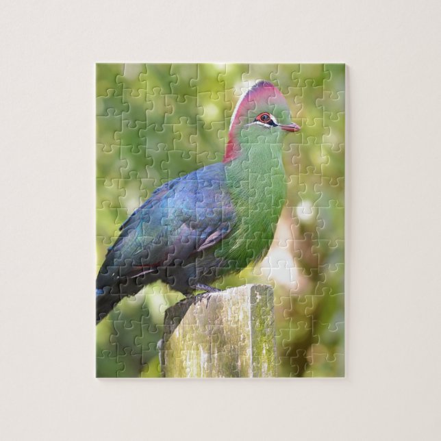 Turaco of fischer perched jigsaw puzzle (Vertical)