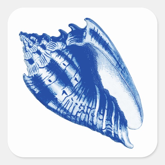 Turban Conch Shell, Indigo Blue and White Square Sticker (Front)