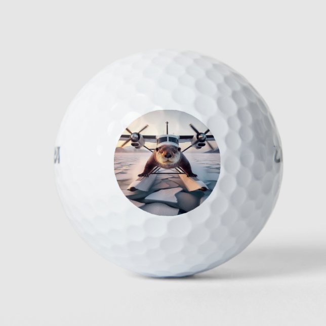 Turbo Prop Twin Engine Float Plane Bush Canada Golf Balls (Front)