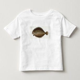 Turbot (Pleuronectes Maximus) plate XLIX from 'Ich Toddler T-Shirt