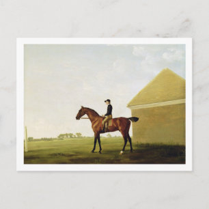Turf, c.1765 (oil on canvas) (see 152743) postcard