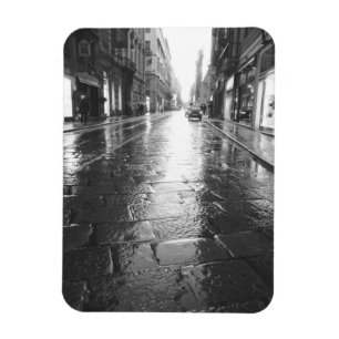 Turin Italy, Wet Street Evening Magnet