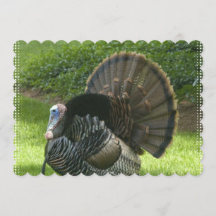 turkey-1.jpg invitation