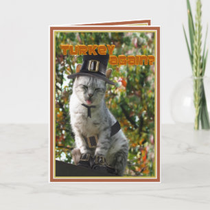 TURKEY AGAIN? Thanksgiving Pilgrim Cat Holiday Card