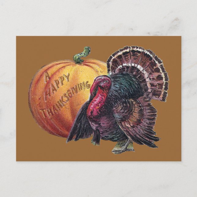 Turkey and Pumpkin Vintage Thanksgiving Holiday Postcard (Front)