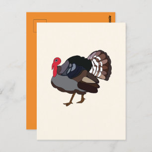 Turkey Bird Turkey Postcard