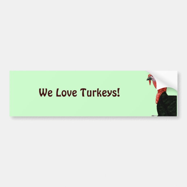Turkey:  Black Tom Head Bumper Sticker (Front)