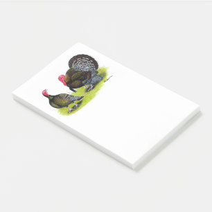 Turkey Broad Breasted Bronze Post-it Notes