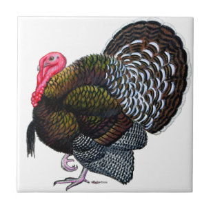 Turkey:  Bronze Tom Ceramic Tile