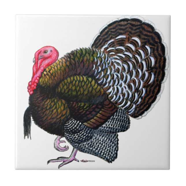 Turkey:  Bronze Tom Ceramic Tile (Front)