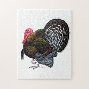 Turkey: Bronze Tom Jigsaw Puzzle