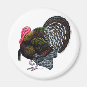 Turkey:  Bronze Tom Magnet