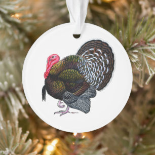 Turkey: Bronze Tom Ornament