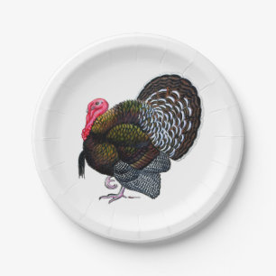 Turkey:  Bronze Tom Paper Plate