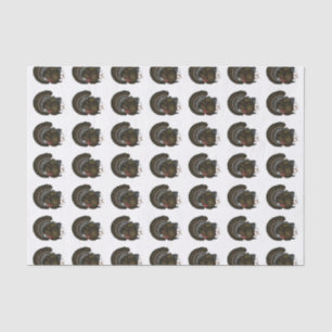 Turkey Bronze Tom Tissue Paper