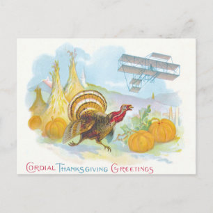 Turkey Chasing An Aeroplane In A Field Postcard