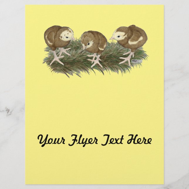 Turkey Chocolate Poults Flyer (Front)