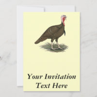 Turkey Chocolate Tom