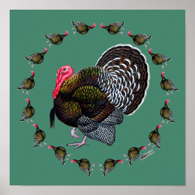 Turkey Circle Poster (Front)