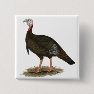 Turkey: Eastern Wild Tom 15 Cm Square Badge