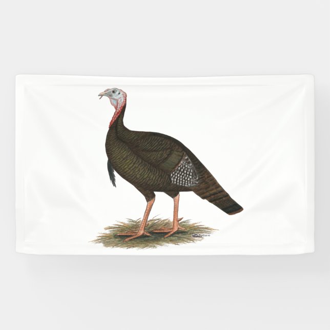 Turkey:  Eastern Wild Tom Banner (Horizontal)