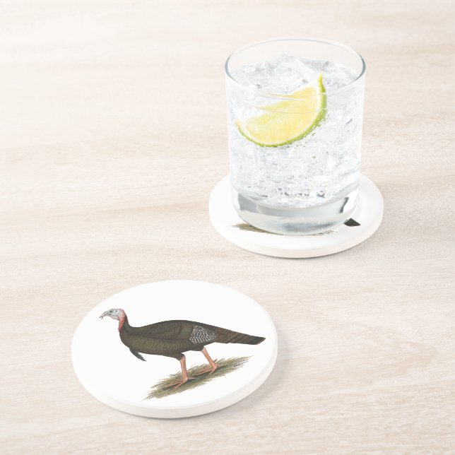 Turkey:  Eastern Wild Tom Coaster (Side)