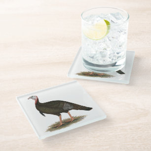 Turkey: Eastern Wild Tom Glass Coaster