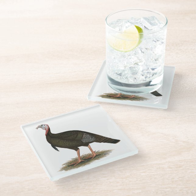 Turkey:  Eastern Wild Tom Glass Coaster (Angled)