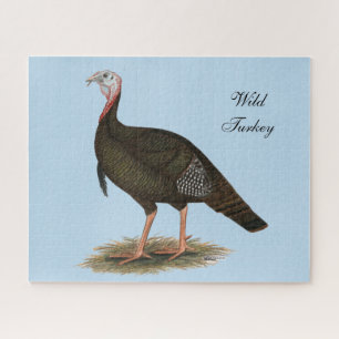Turkey: Eastern Wild Tom Jigsaw Puzzle