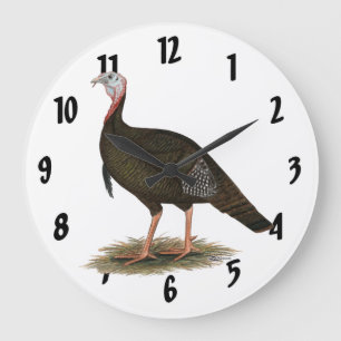 Turkey:  Eastern Wild Tom Large Clock